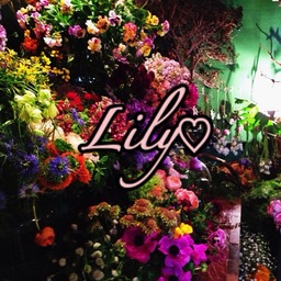Lily♡