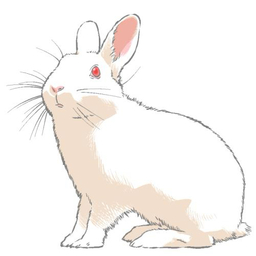 みっちぇる