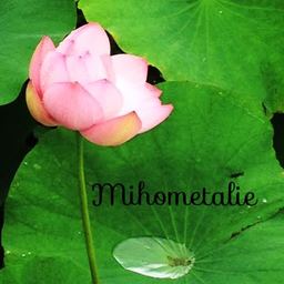 mihometalie