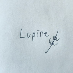 yoshimi