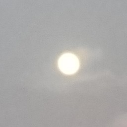 moon0840moon