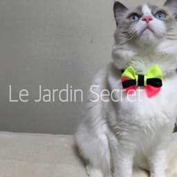 lejardinsecret