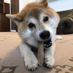 まさる