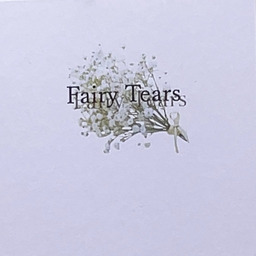 Fairy♡Tears