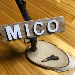  mico