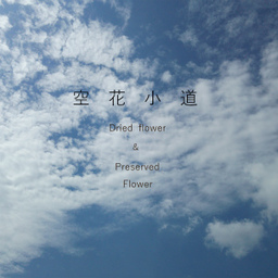 空花小道