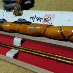 遊竿庵