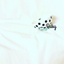 ribbon3460