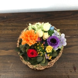 iblooming