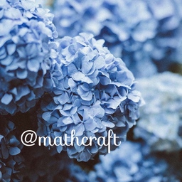 @mathcraft