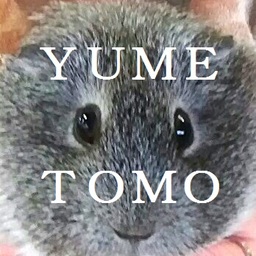 ゆめとも