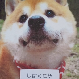 しばくにや
