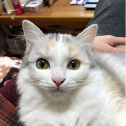 ふんわり☆1107