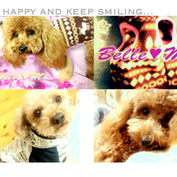 Belle❤︎Me