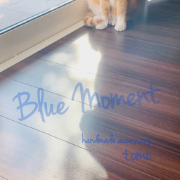 bluemoment