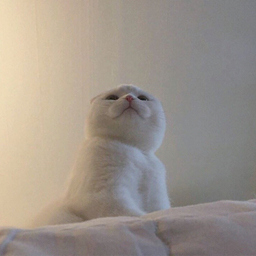 みいちゃん