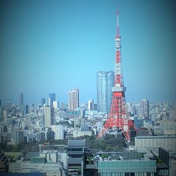 totokuma_123