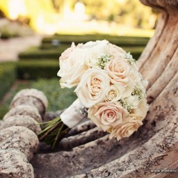 ❀White Flowers❀