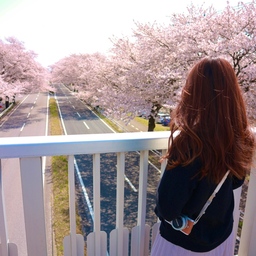 morichannnn