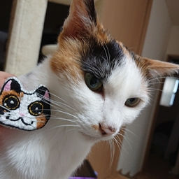 ごさくの刺繍屋さん