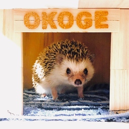 ちくちく子ねずみ＊