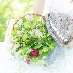 pinot-ピノ-