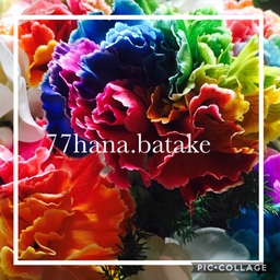 77hana.batake