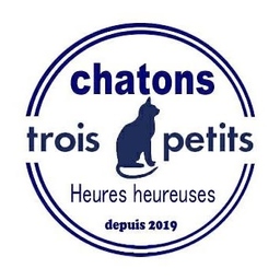 chatons_mama