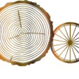 kinomichiwork