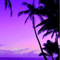 ↠ gypsea↠