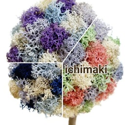 ichimaki.s.m