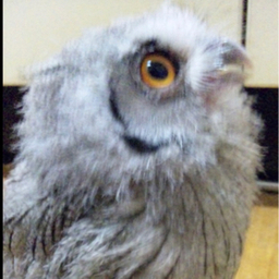 みっくる