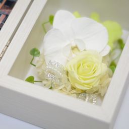 はと