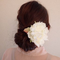 anemone87