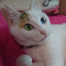 りずママ