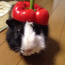 あやか