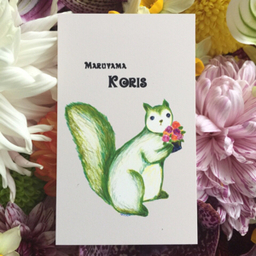 m-koris