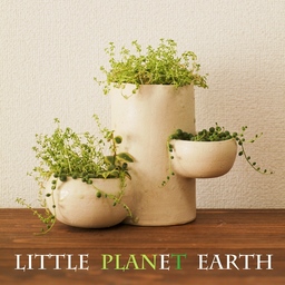 LittlePlanetEarth
