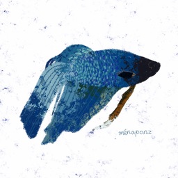 minaponz