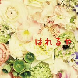 はれるや