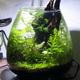 aquariumpoko