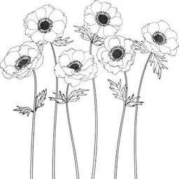 aanemoneee