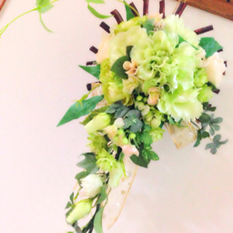     ノリーズ花 💕