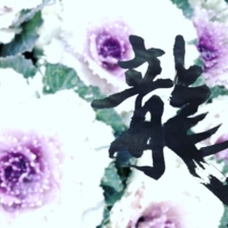honokahappy8