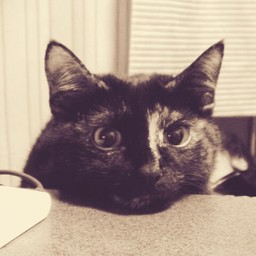 COCO