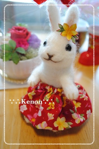 kenon0401