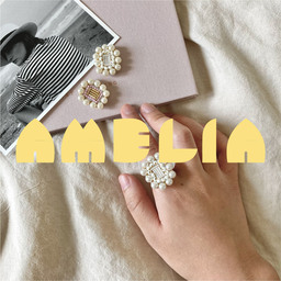 AMELIA accessory  