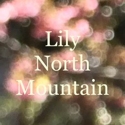 lily  north mountain