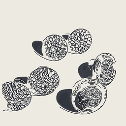 harishajewel