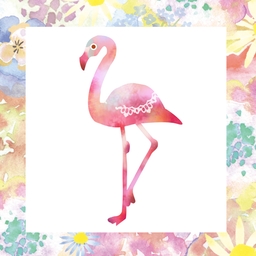 ふらみんご